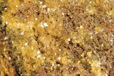 Golden Translucent Mimetite Crystal Cluster - Thailand #266338-1